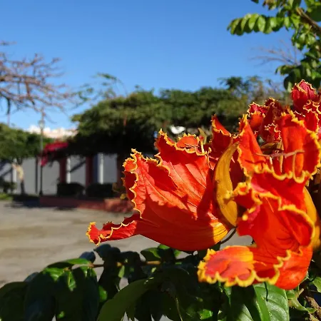 Casa Blanca , Nahe Am , Wifi Frei Guia de Isora (Tenerife)
