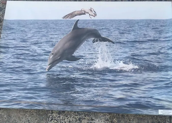 Apartamento Casa Blanca , Nahe Am , Wifi Frei *