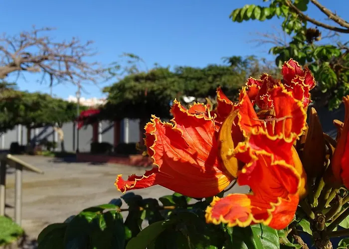 Casa Blanca , Nahe Am , Wifi Frei Guía de Isora